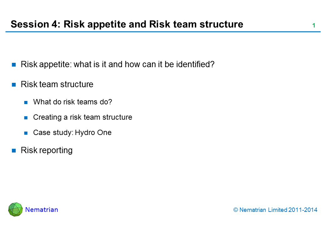 Bullet points include: Risk appetite: what is it and how can it be identified? Risk team structure What do risk teams do? Creating a risk team structure Case study: Hydro One Risk reporting