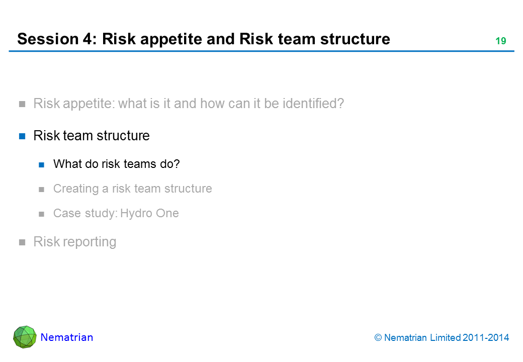 Bullet points include: Risk team structure What do risk teams do?