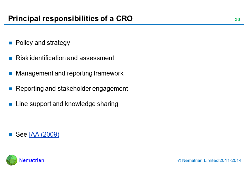 Bullet points include: Policy and strategy Risk identification and assessment Management and reporting framework Reporting and stakeholder engagement Line support and knowledge sharing See IAA (2009)