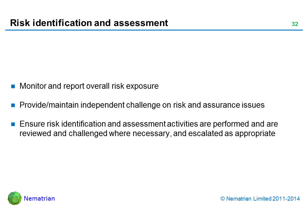 Bullet points include: Monitor and report overall risk exposure Provide/maintain independent challenge on risk and assurance issues Ensure risk identification and assessment activities are performed and are reviewed and challenged where necessary, and escalated as appropriate