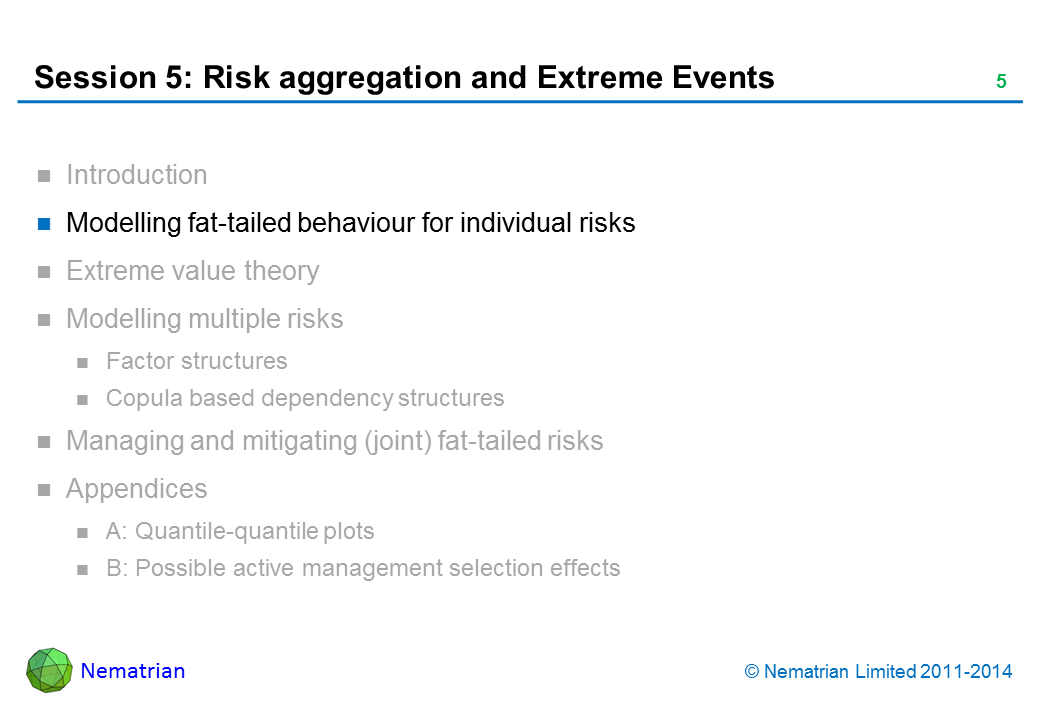 Bullet points include: Modelling fat-tailed behaviour for individual risks