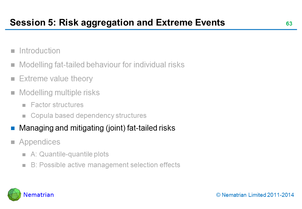 Bullet points include: Managing and mitigating (joint) fat-tailed risks