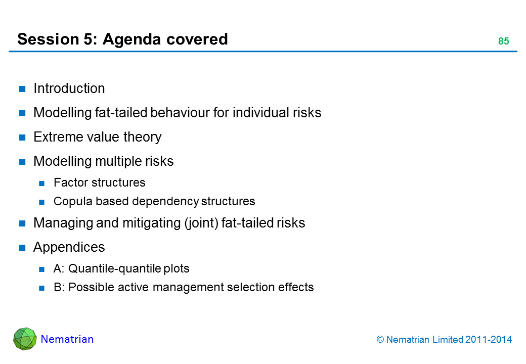 Bullet points include: Introduction Modelling fat-tailed behaviour for individual risks Extreme value theory Modelling multiple risks Factor structures Copula based dependency structures Managing and mitigating (joint) fat-tailed risks Appendices A: Quantile-quantile plots B: Possible active management selection effects