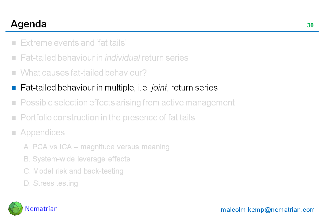 Bullet points include: Fat-tailed behaviour in multiple, i.e. joint, return series