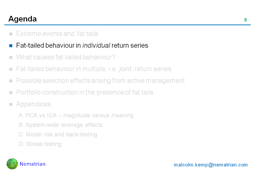 Bullet points include: Fat-tailed behaviour in individual return series